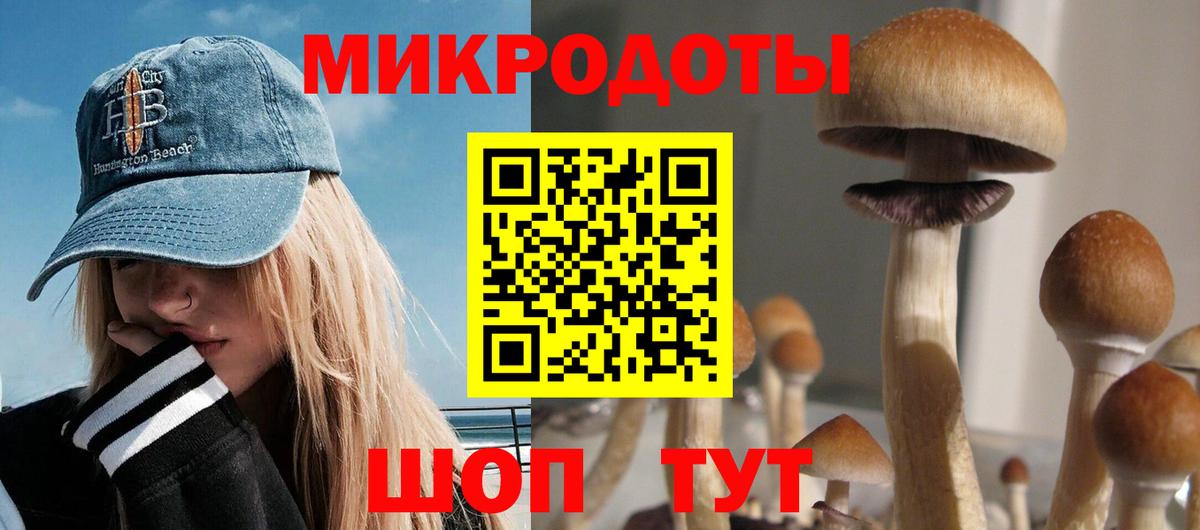 Псилоцибиновые грибы мицелий Димитровград