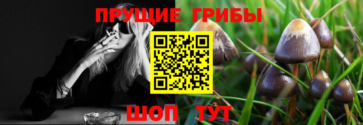 наркотики  Вход с VPN  Димитровград  Псилоцибиновые грибы GOLDEN TEACHER 